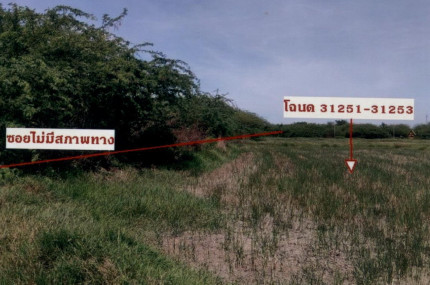 ที่ดินว่างเปล่า ตำบลบึกเตียน อำเภอท่ายาง จังหวัดเพชรบุรี 1